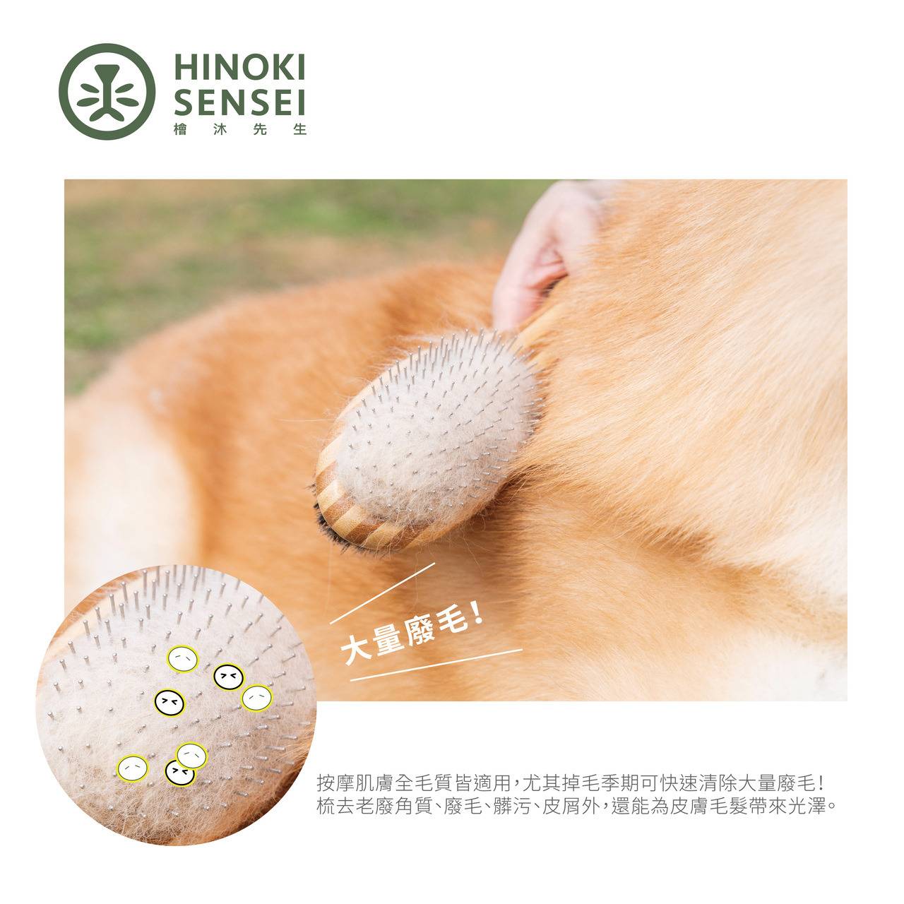 檜沐先生-兩用按摩梳 / 長短毛兩用