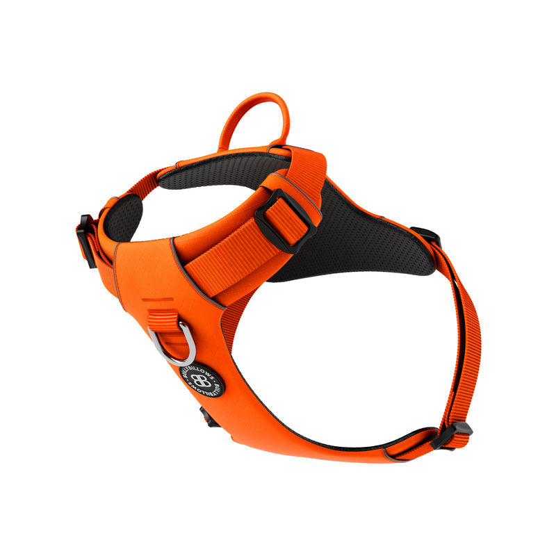 MOXEN 漠尋 犬用胸背商品照-Air Mesh Harness|羽量氣學胸背-橘#顏色_橘