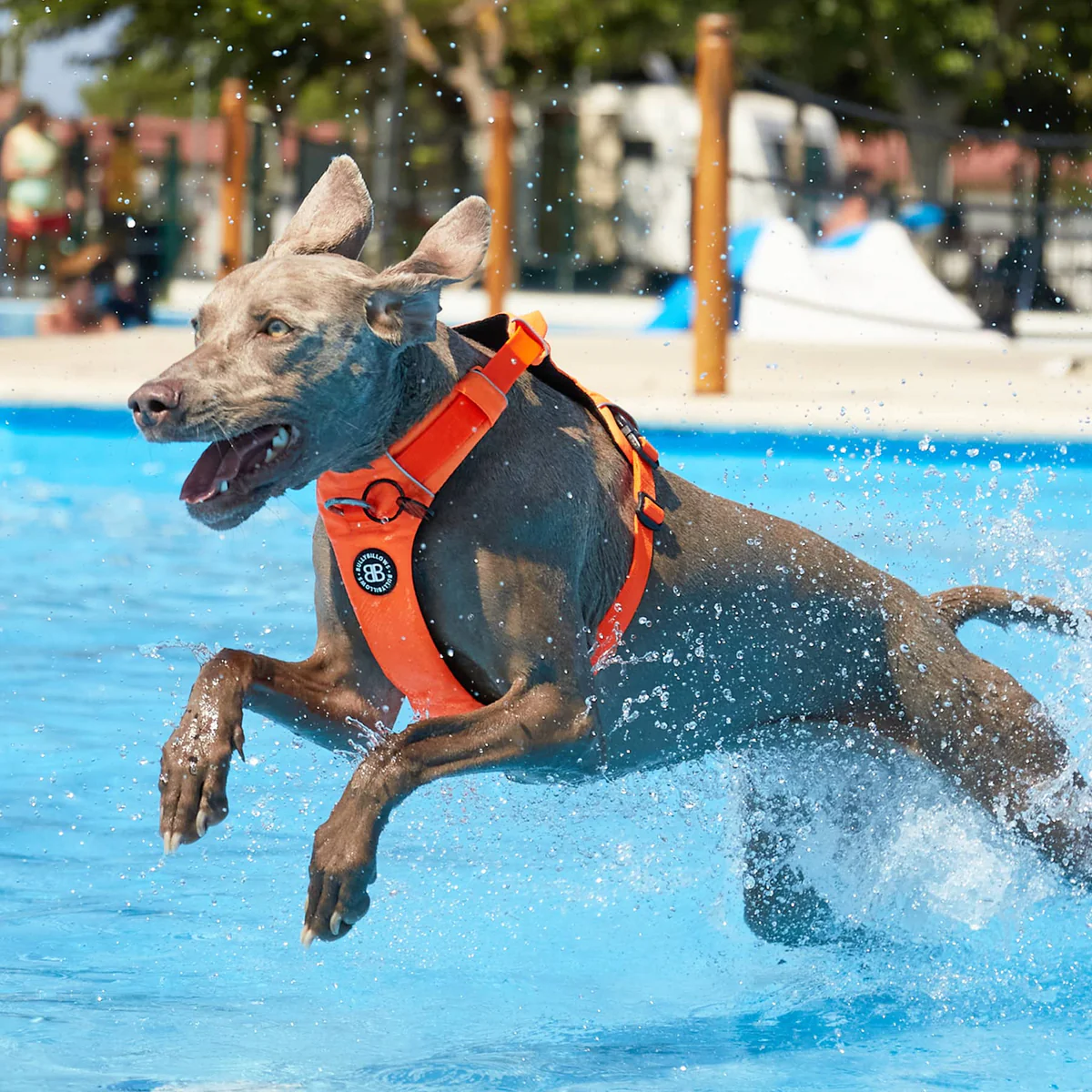 Air Mesh Harness|羽量氣學胸背-灰