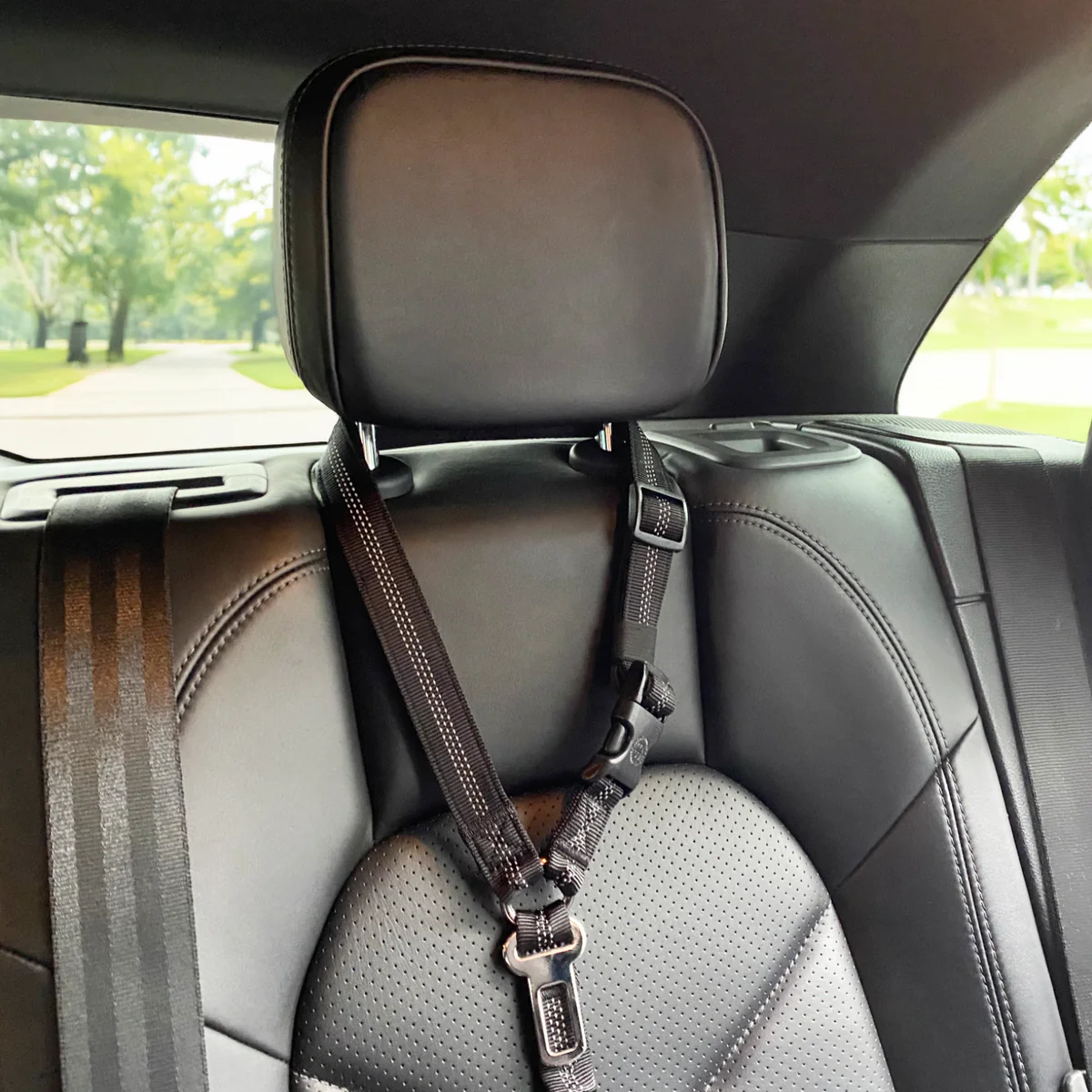 Trip Seatbelt 通勤安全