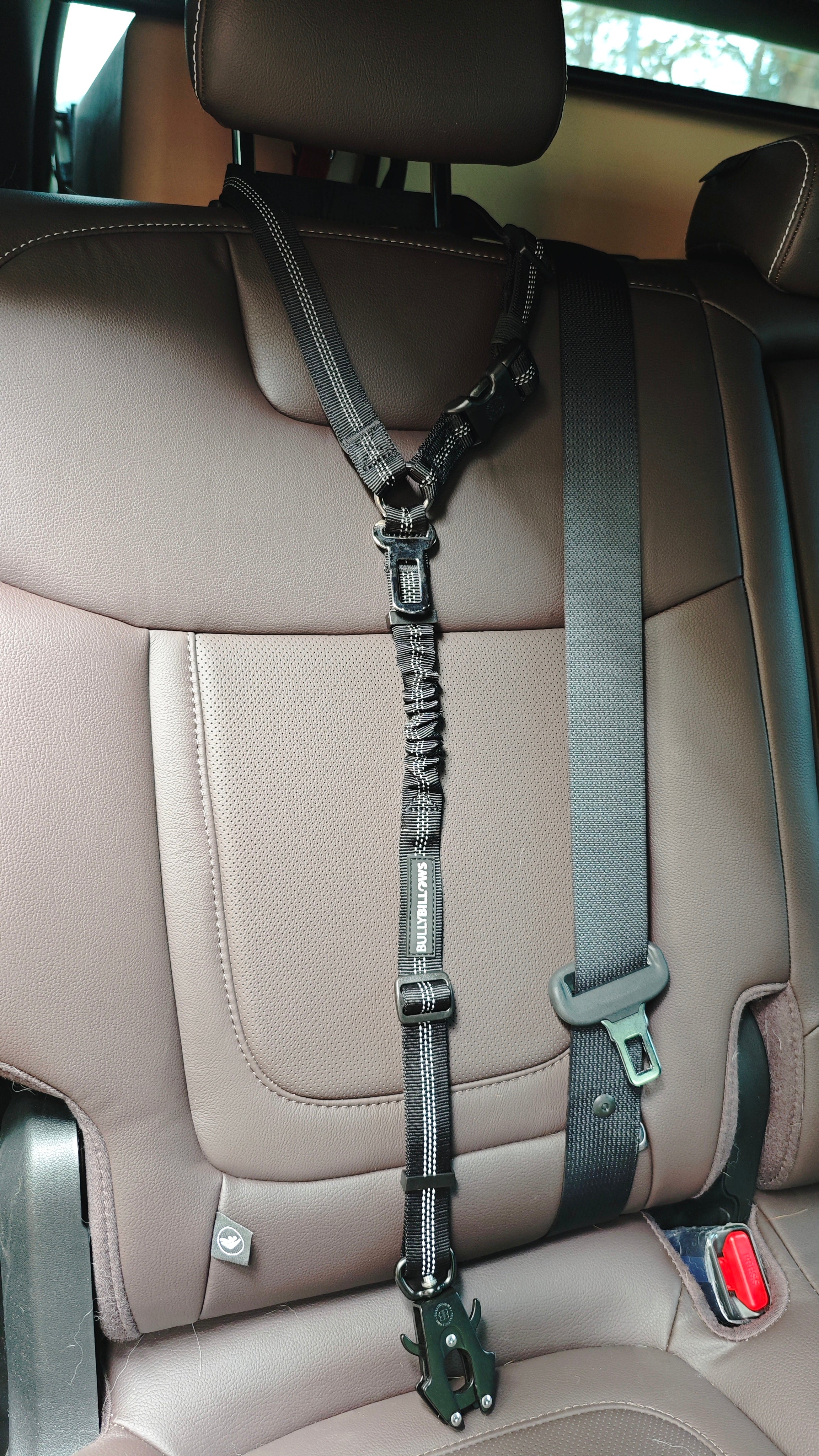 Trip Seatbelt 通勤安全