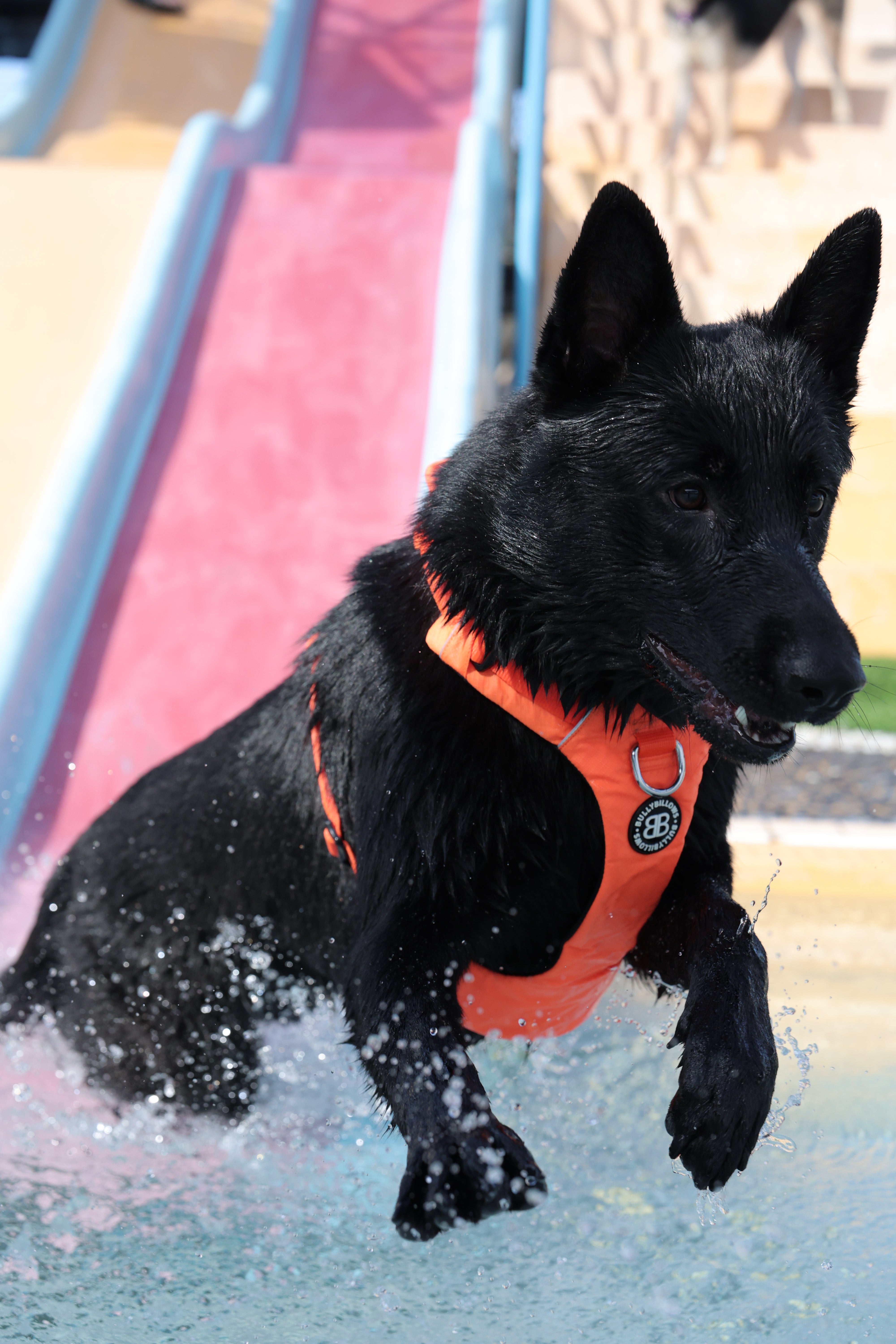 Air Mesh Harness|羽量氣學胸背-灰