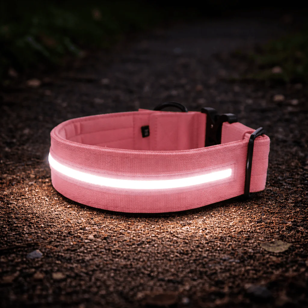 MOXEN 漠尋 犬用項圈商品照-2.5cm LED COLLAR|光環項圈-粉#顏色_粉