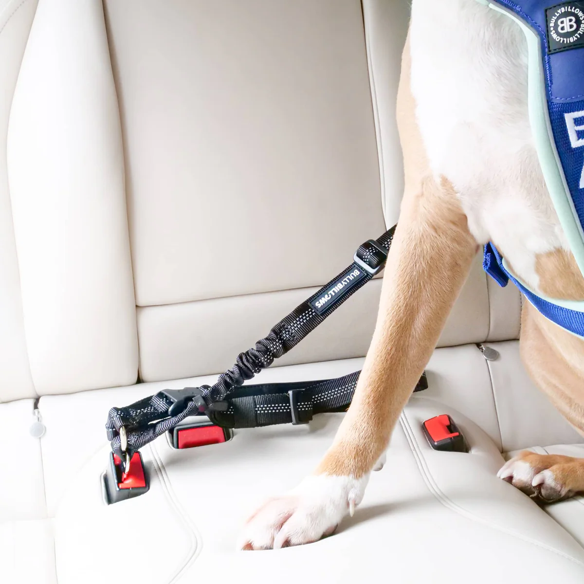 Trip Seatbelt 通勤安全帶