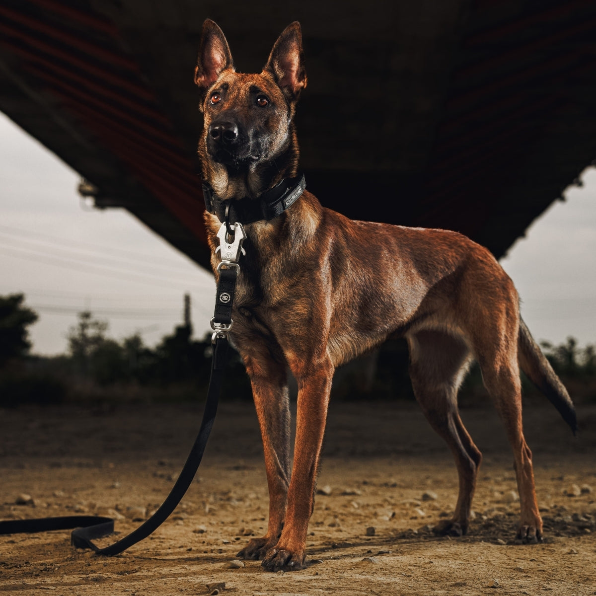 LEASH | 牽引系統