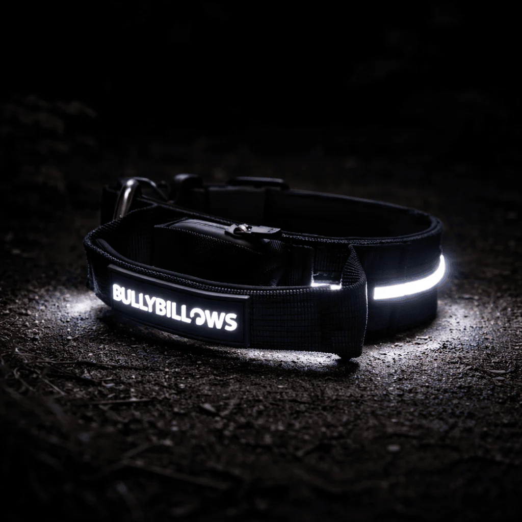 MOXEN 漠尋 犬用項圈商品照－2.5cm LED COLLAR｜光環項圈－黑#顏色_黑