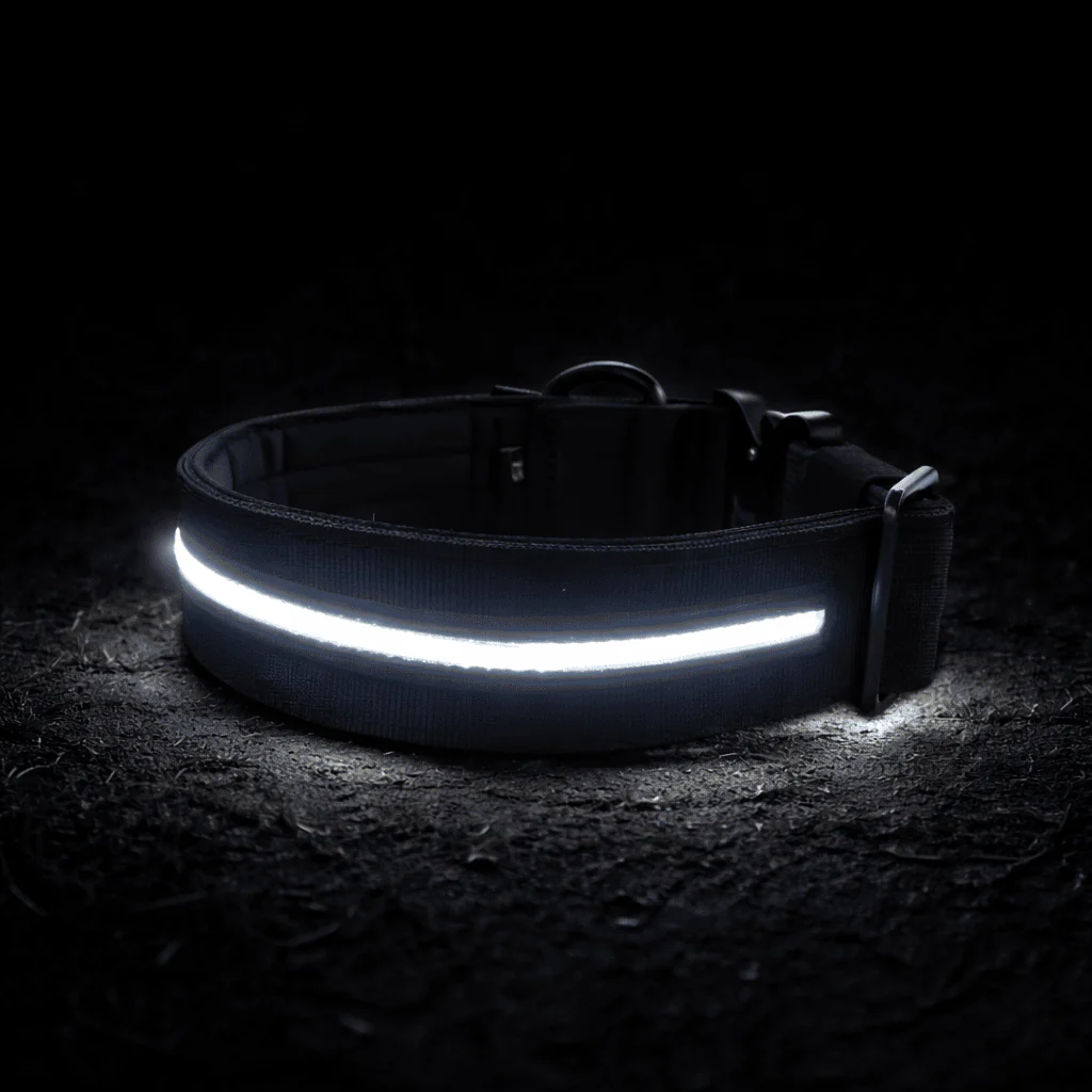 4cm LED COLLAR｜光環項圈－黑