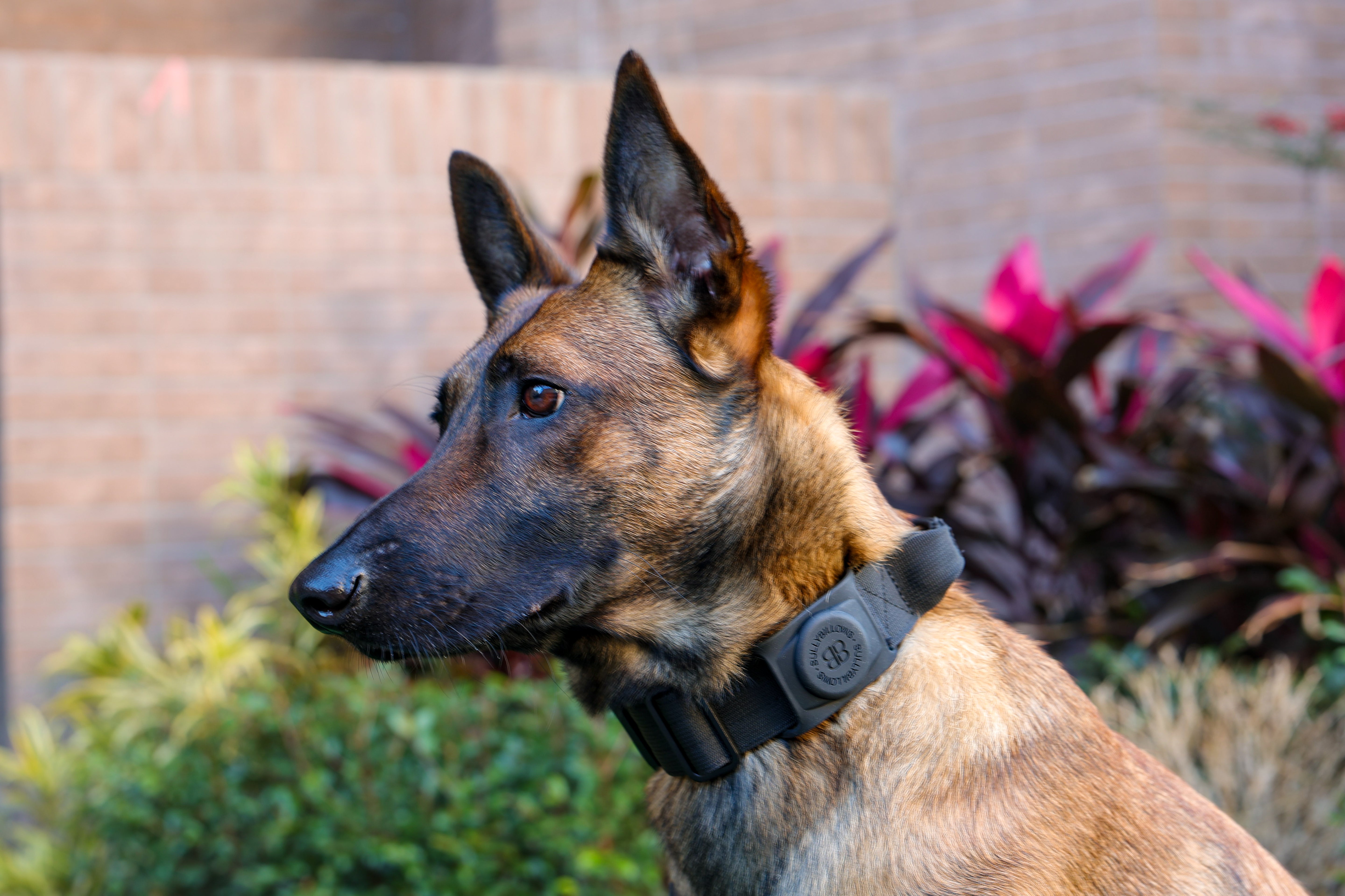 Air Tag Holder－黑