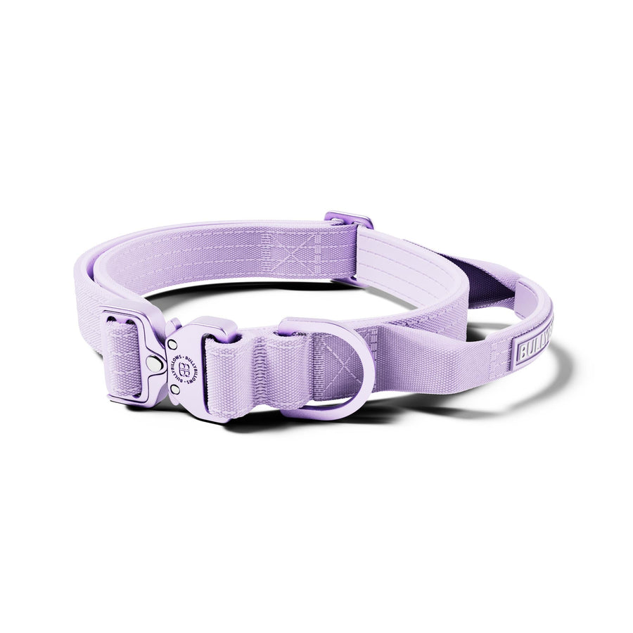 2.5 Lighter Collar｜輕量項圈