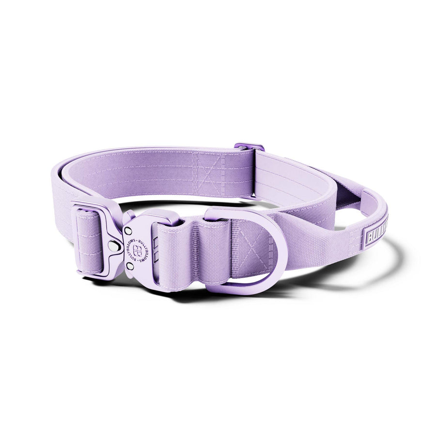 4cm LIGHTER COLLAR｜輕量項圈