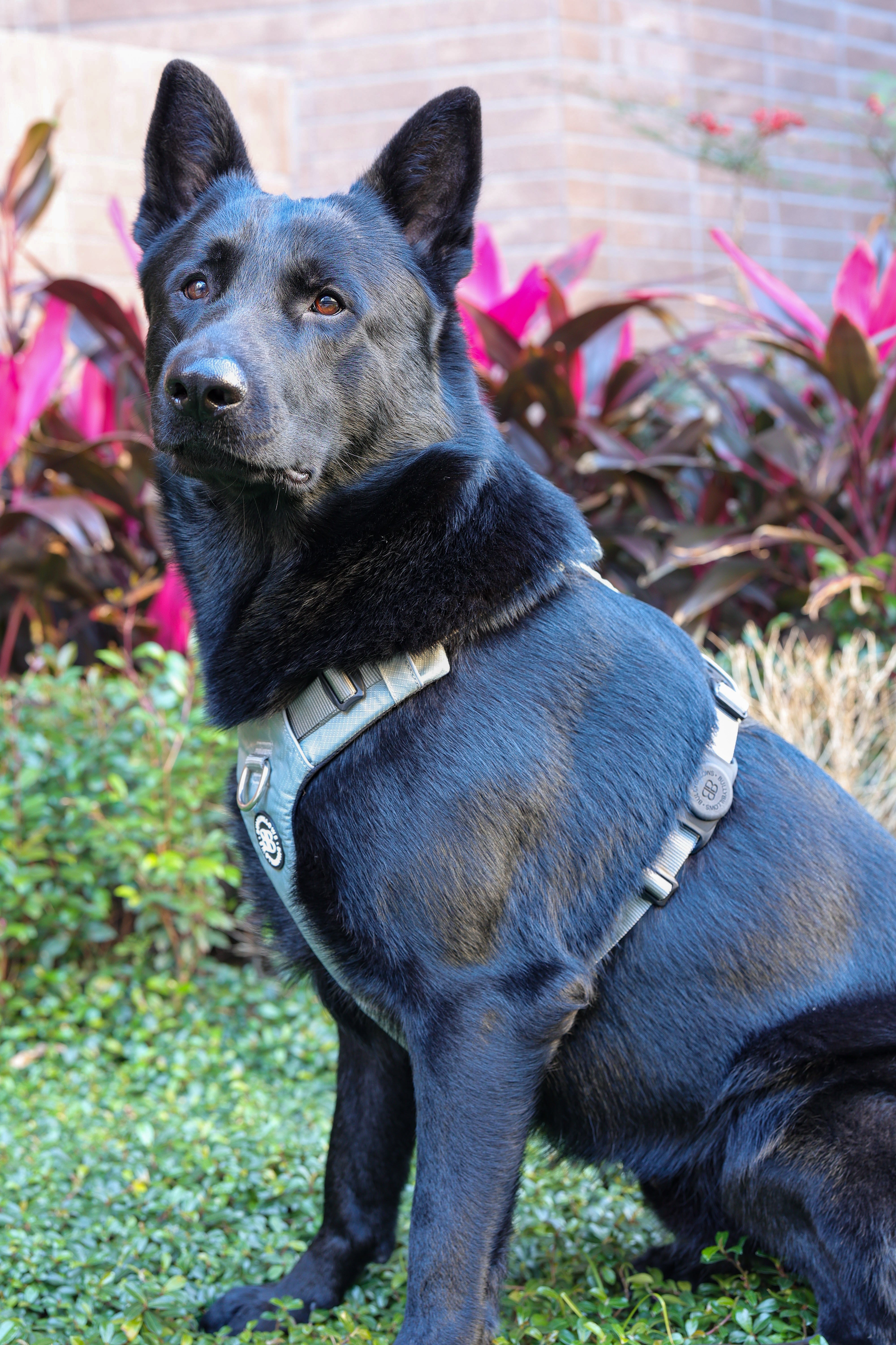 Air Tag Holder－粉