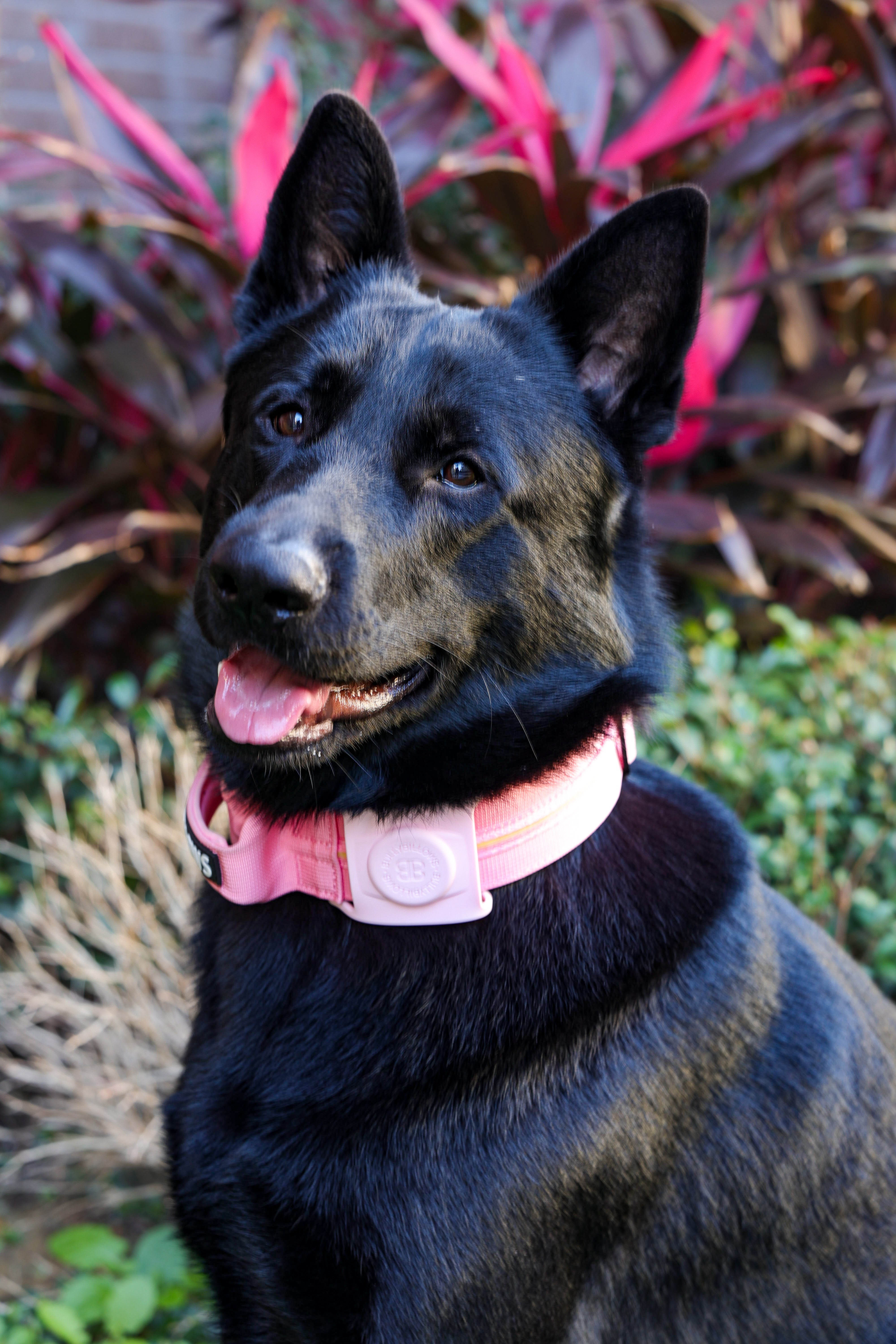 Air Tag Holder－粉