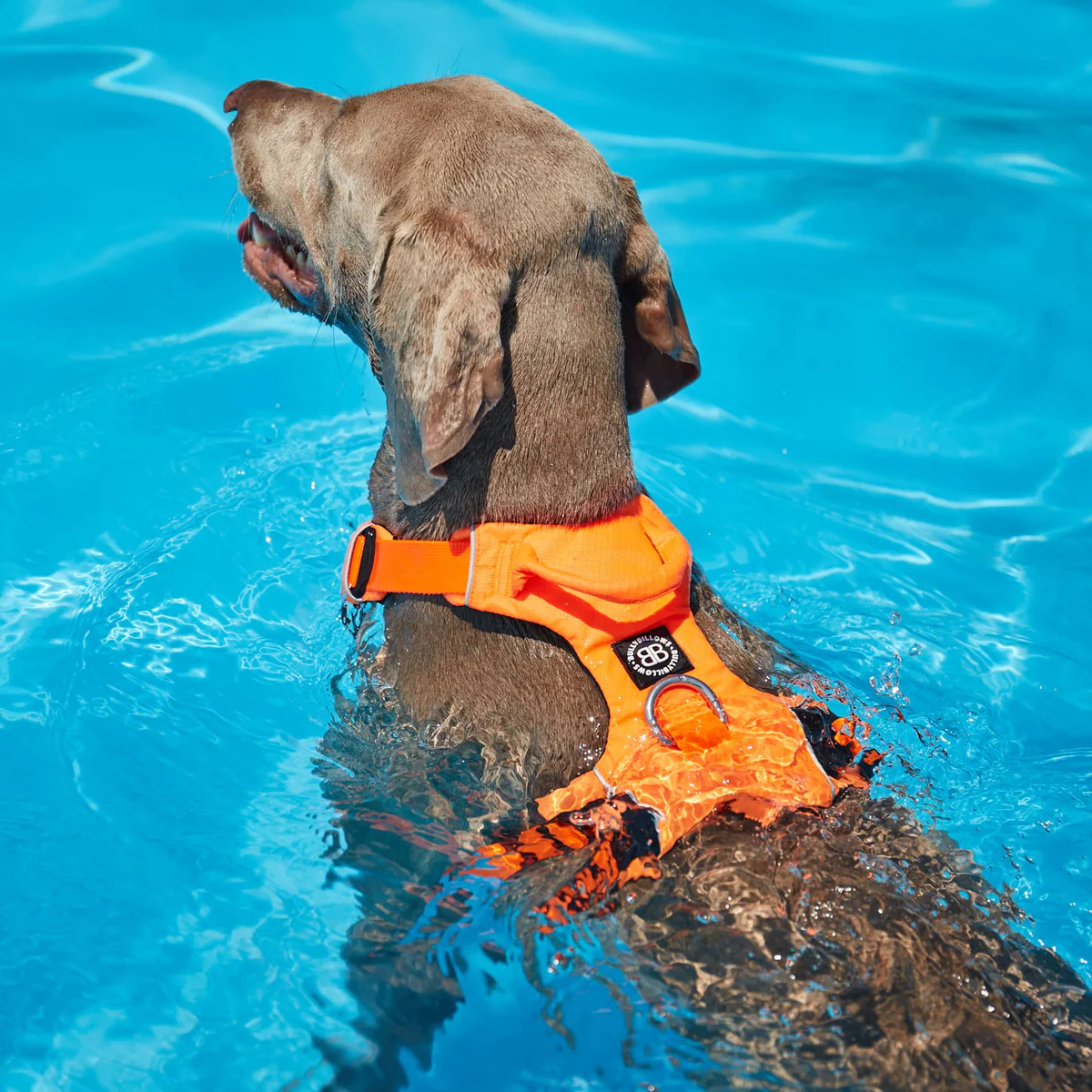 Air Mesh Harness｜羽量氣學胸背－灰