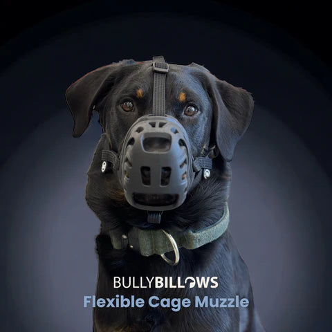 Premium Muzzles V1｜防護口罩