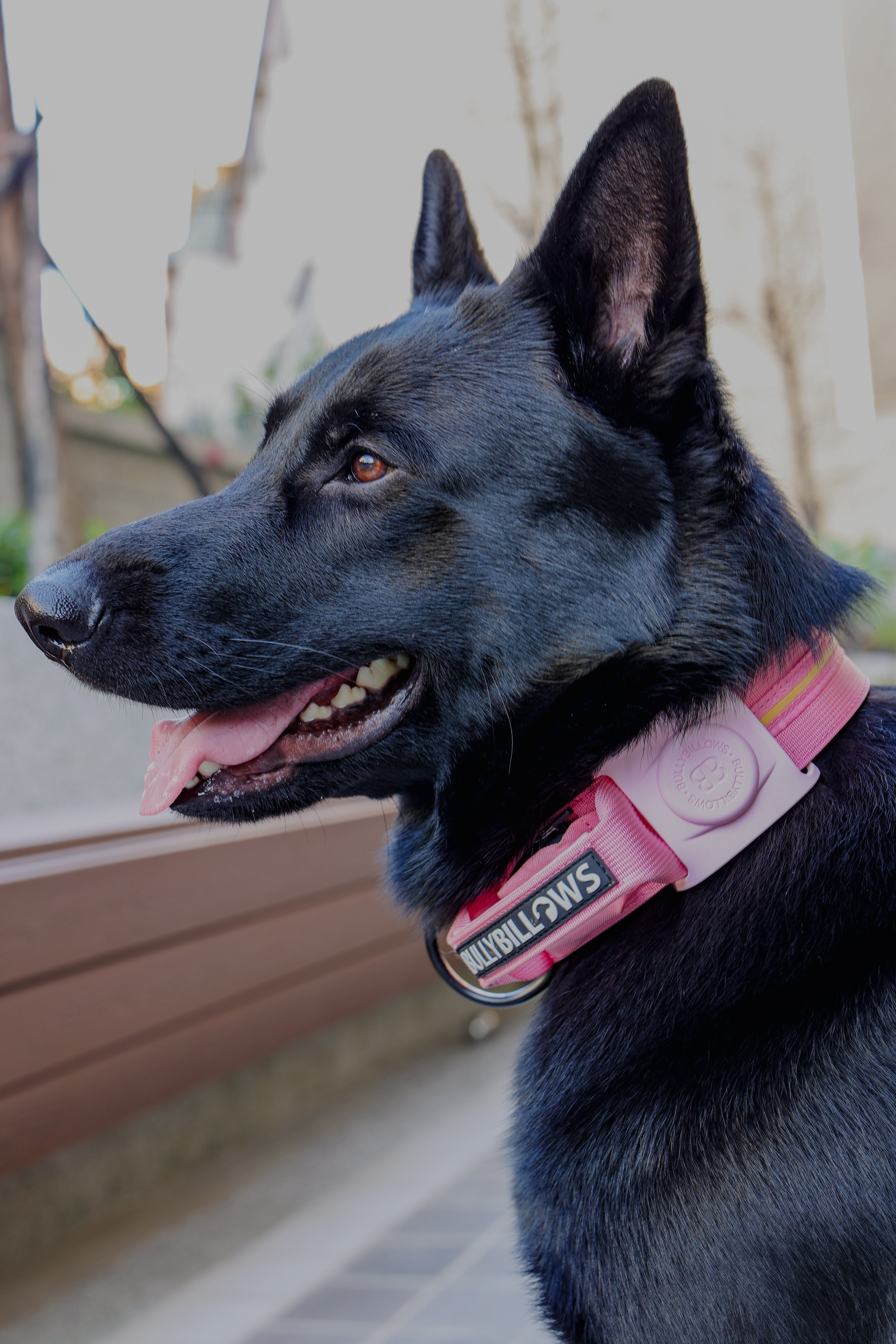 Air Tag Holder－粉