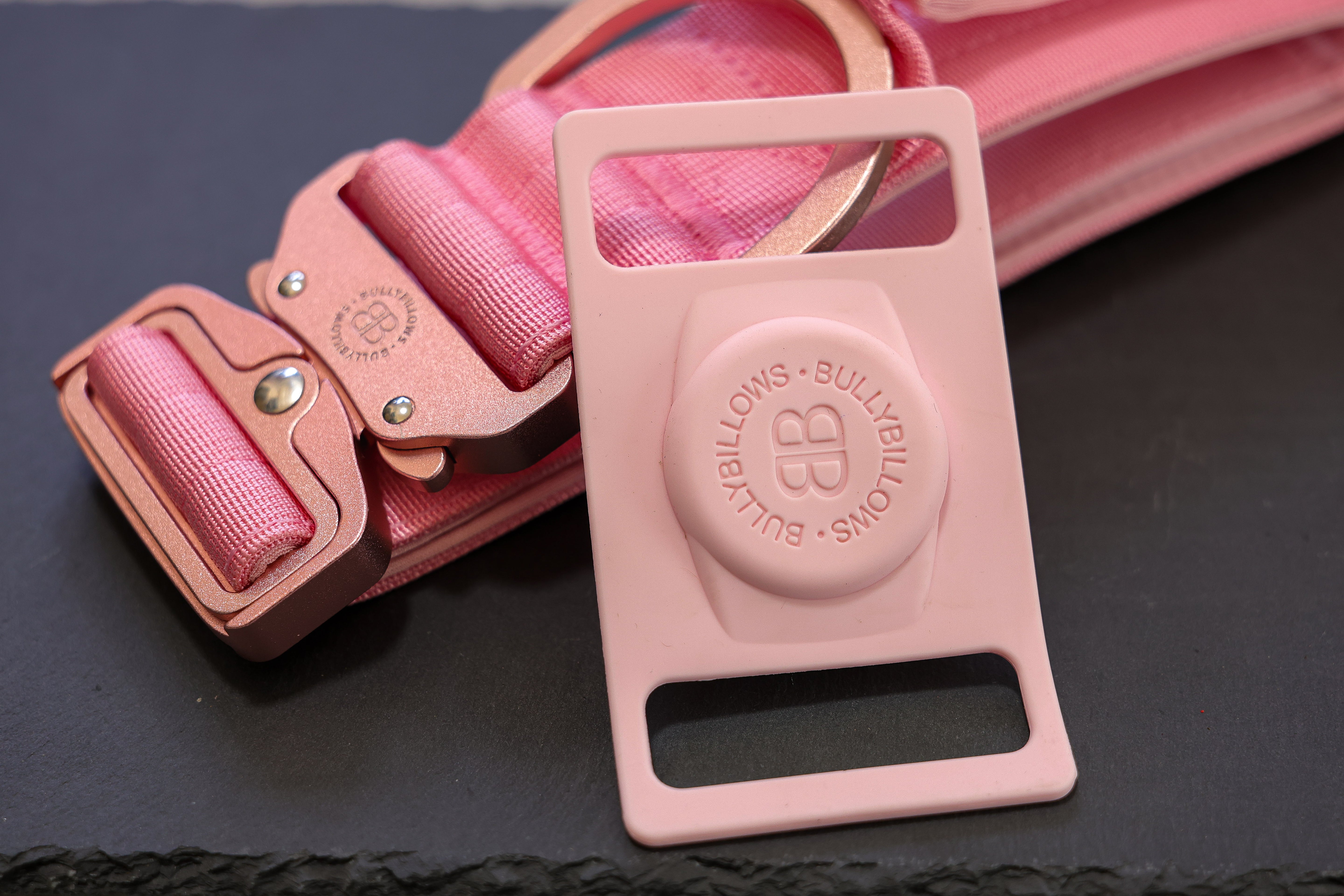 Air Tag Holder－粉