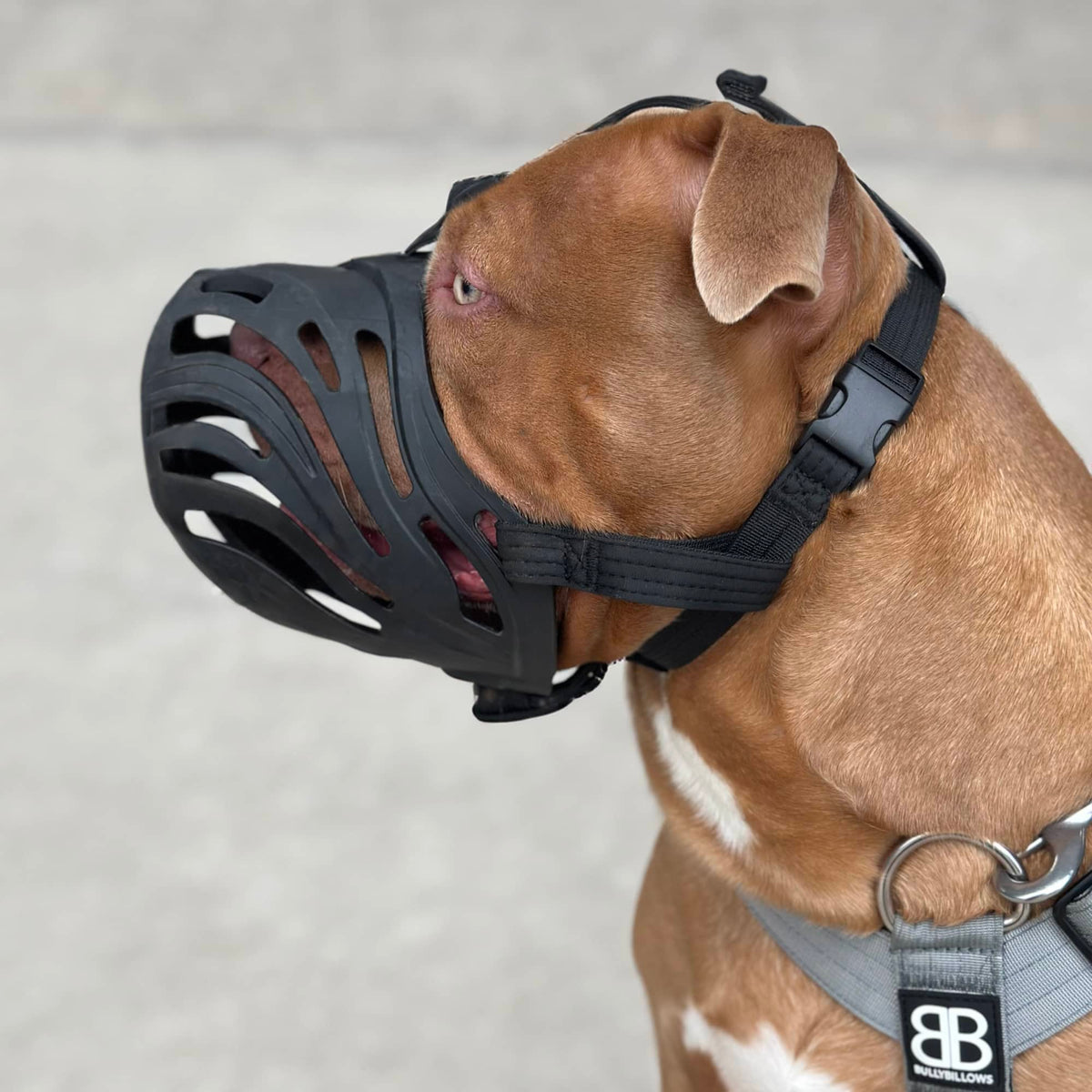 Premium Muzzles V1｜防護口罩