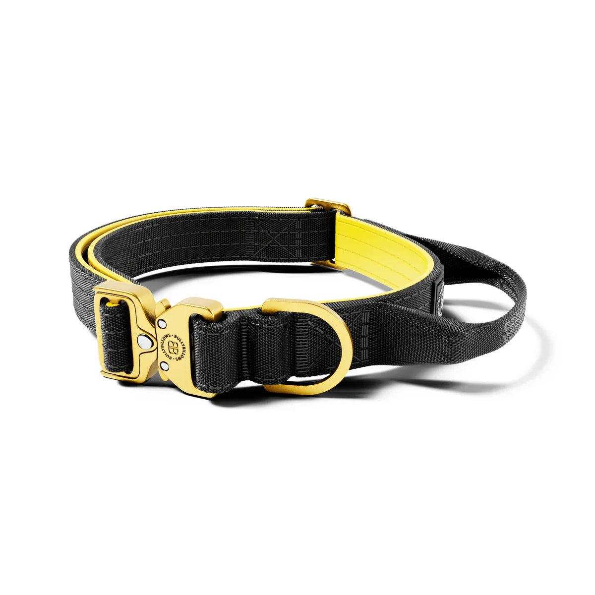 MOXEN 漠尋 犬用項圈商品照－2.5 Lighter Collar｜輕量項圈－黑&金#顏色_黑&金
