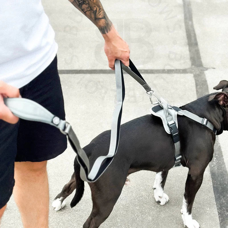 1.4m Multi Lead｜多段牽繩－松綠