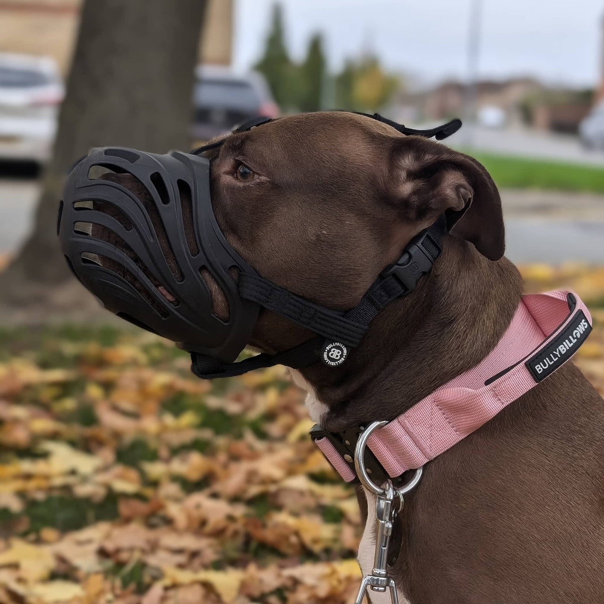 Premium Muzzles V1｜防護口罩