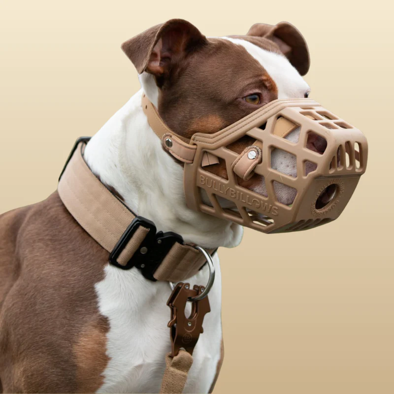 Premium Muzzles V2｜防護口罩－沙漠