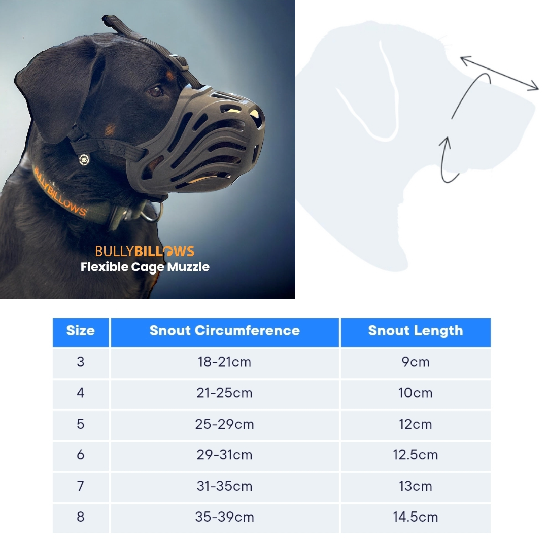 Premium Muzzles V1｜防護口罩