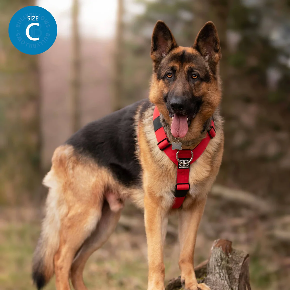 TRI-Harness®｜H型防暴衝胸背－橘