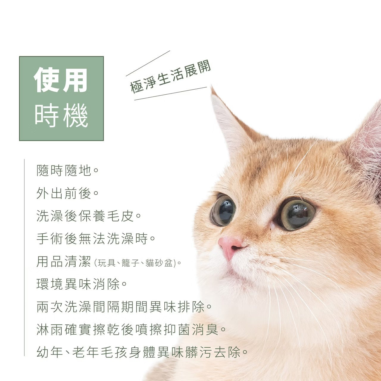 檜沐先生-天然乾洗噴霧 / 隨身瓶 30ml