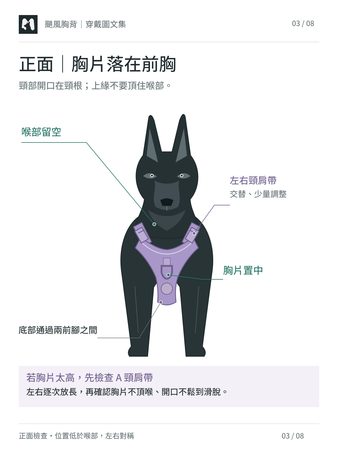狼犬正面示意：Hurricane 胸片落在前胸、喉部留空、胸片置中、底部通過兩前腳之間