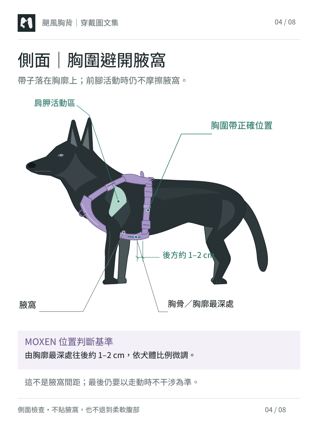 狼犬側面示意：Hurricane 胸圍帶避開腋窩，落在胸骨／胸廓最深處後方約 1–2 cm，不進肩胛活動區