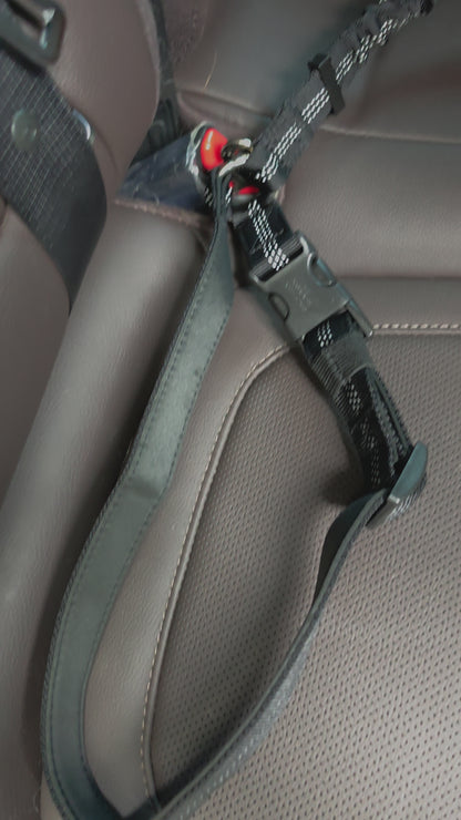 Trip Seatbelt 通勤安全帶